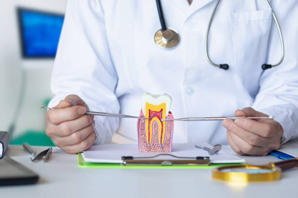 Best Emergency Care for Gum Disease in Cetronia, PA